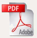 pdf_icon